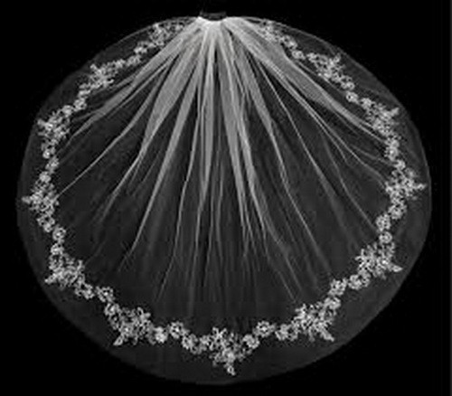 Ivory Silver Beaded Floral Embroidery Fingertip Length Wedding Veil W/Comb $190 Ivory Silver Beaded Floral Embroidery Fingertip Length Wedding Veil W/Comb $190