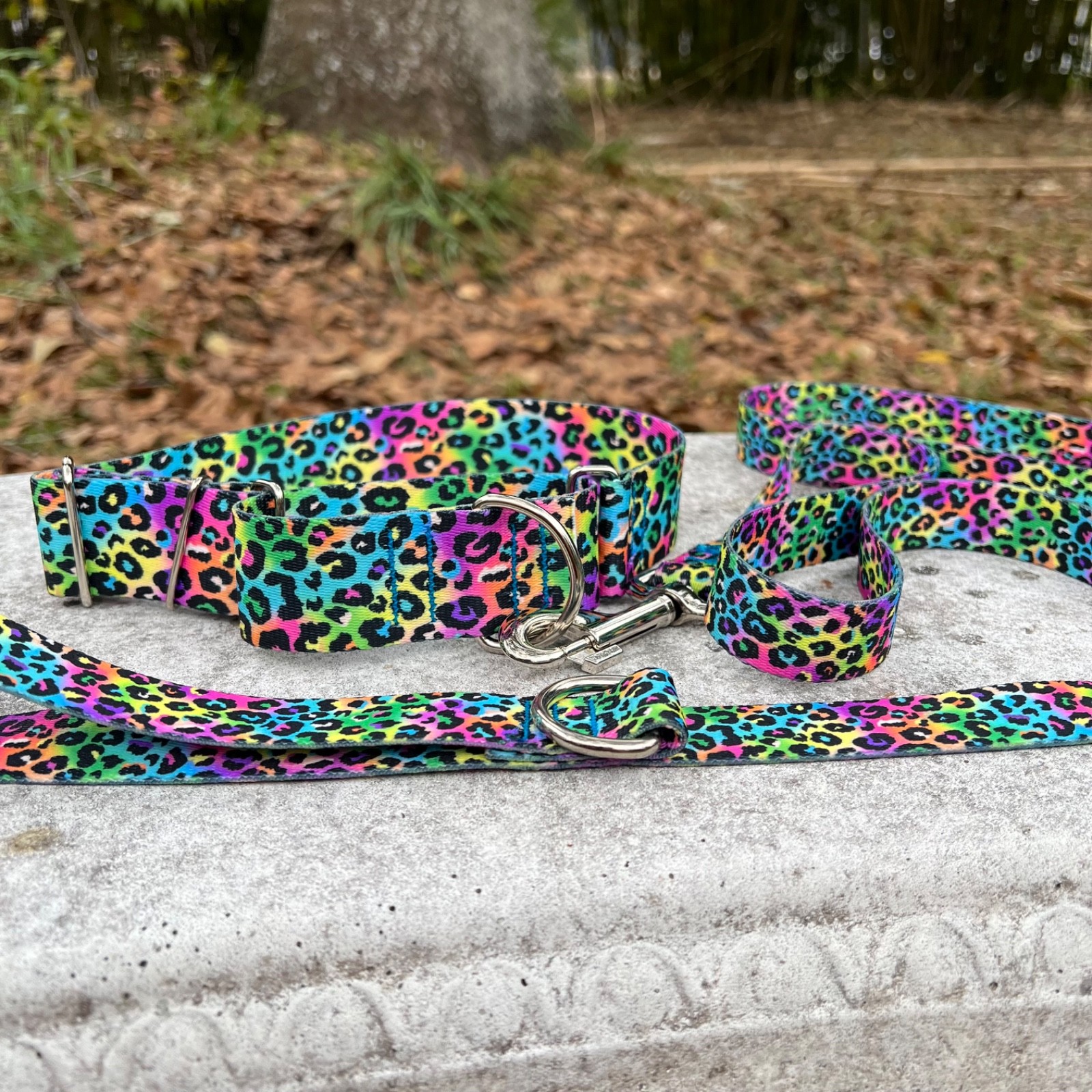 1.5in wide Neon Leopard Slip On Martingale Dog Collar and Leash Set Made in USA