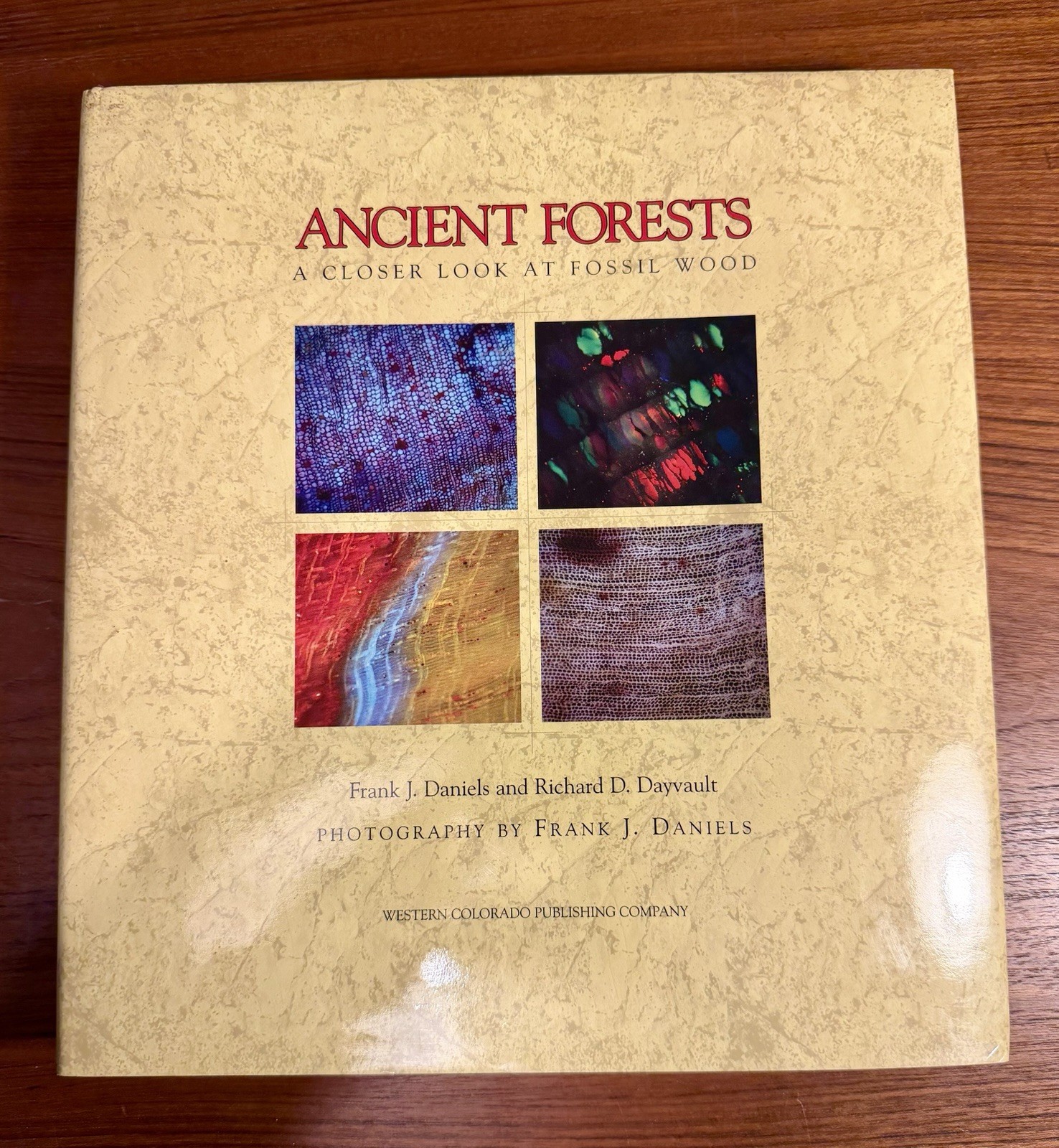 Ancient Forests A Closer Look at Fossil Wood Frank J. Daniels/Richard D Dayvault