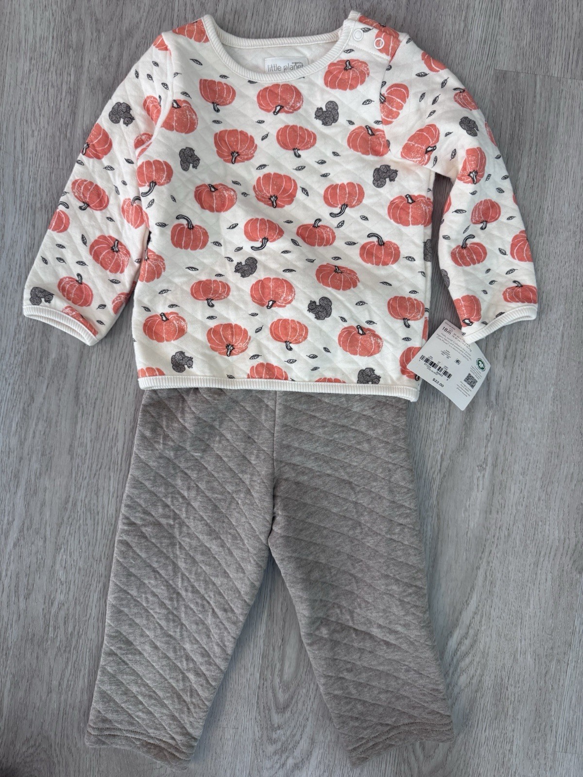 Little Planet by Carter\'s Baby 2-Piece Pumpkin Outfit – Size 18 Months – NWT Little Planet by Carter\'s Baby 2-Piece Pumpkin Outfit – Size 18 Months – NWT