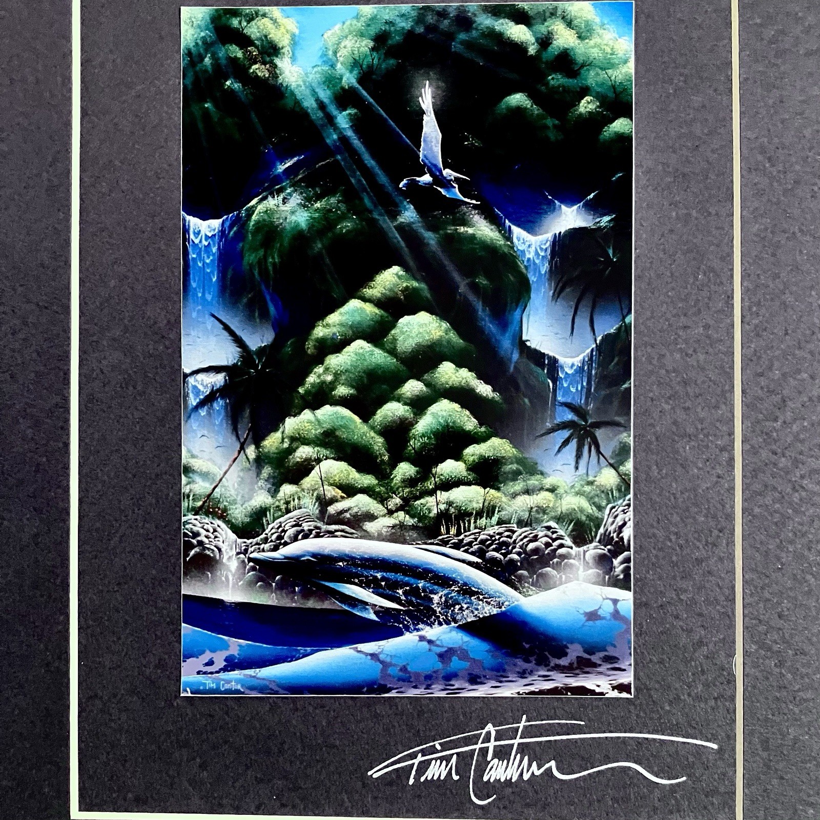 TIM CANTOR Cibachrome Print / RARE 1990s Signed / DOLPHIN Fantasy / 9x12 FRAMED TIM CANTOR Cibachrome Print / RARE 1990s Signed / DOLPHIN Fantasy / 9x12 FRAMED