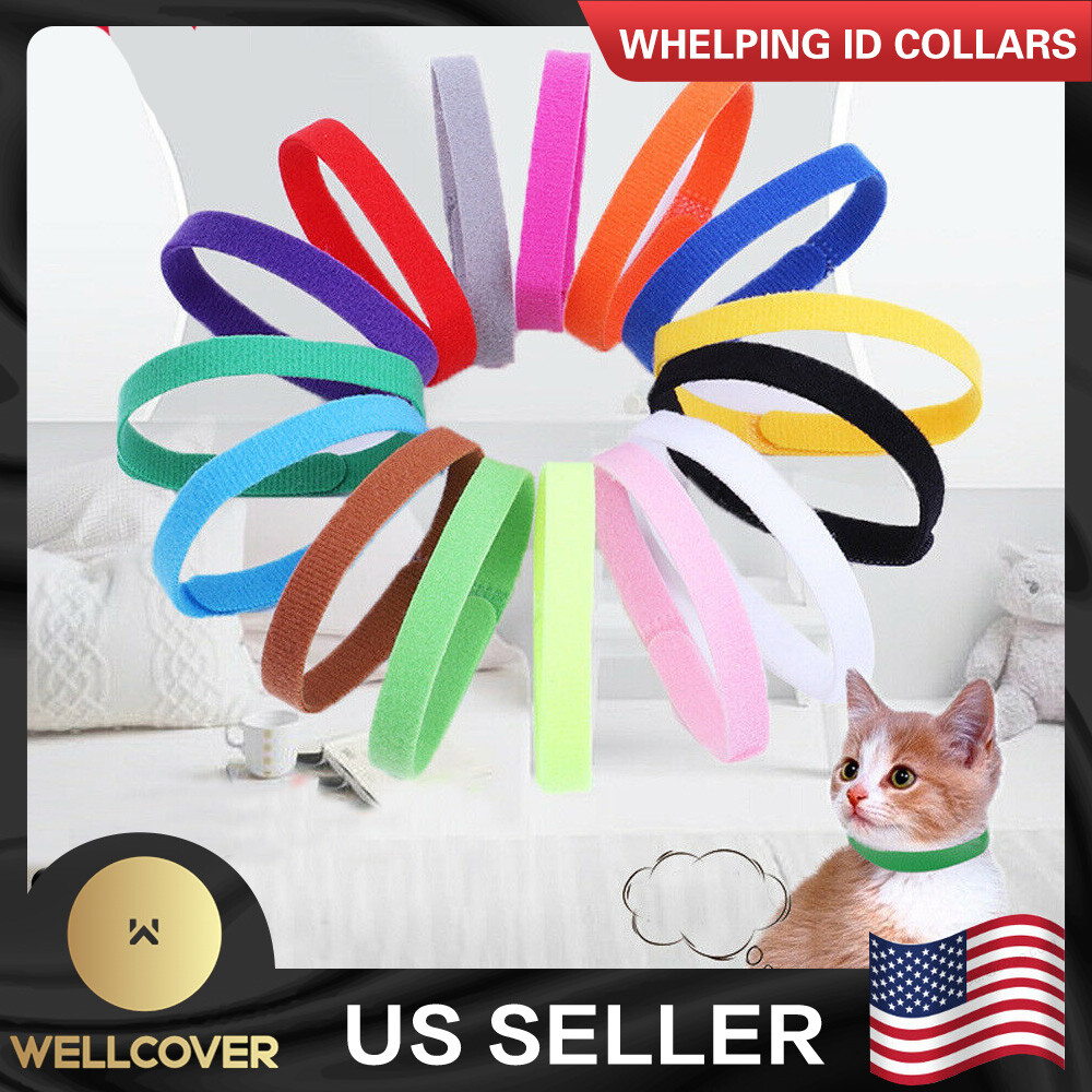 NEW 12 Colours Whelping ID Bands Pet Puppy Kitten Identification Collar Tags