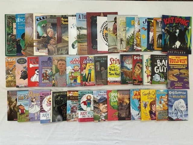 New Scholastic Grade 4 Independent Reading Library Box 1 Homeschool 50 Books