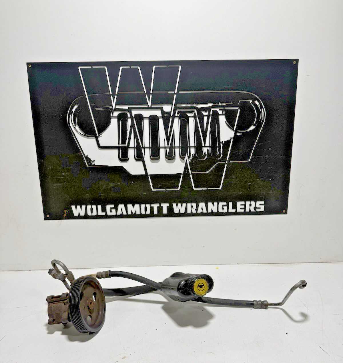 97-02 Jeep TJ Wrangler 2.5 Power Steering Reservoir Bottle + PUMP & LINES CC 30