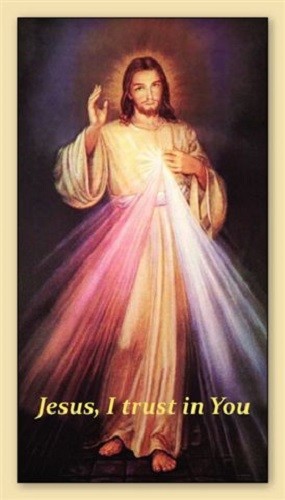 Divine Mercy Prayer Card, 3x4 Inches, 5-pack Divine Mercy Prayer Card, 3x4 Inches, 5-pack