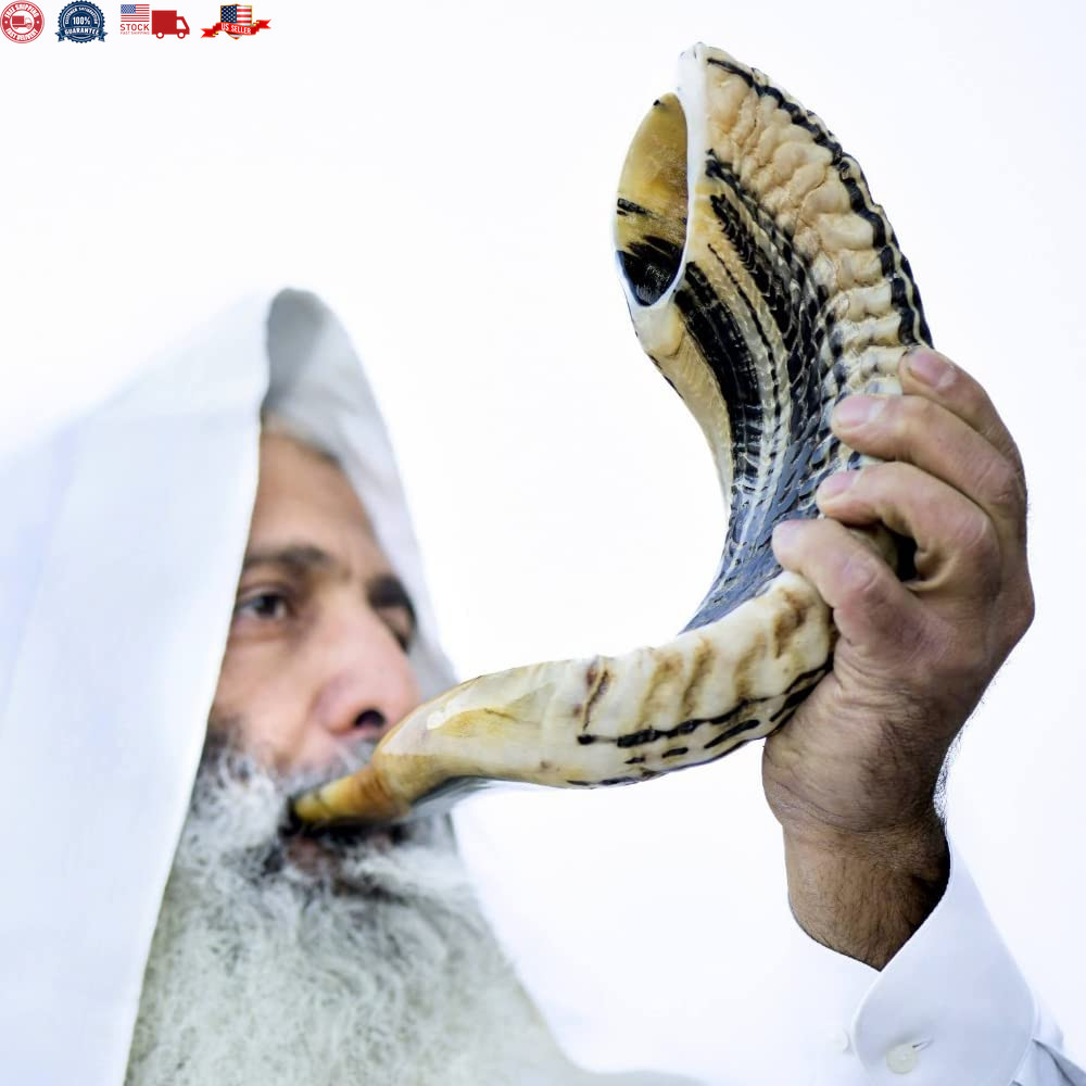 Kosher Ram Shofar Horn from Israel 12”-14 Kosher Ram Shofar Horn from Israel 12”-14
