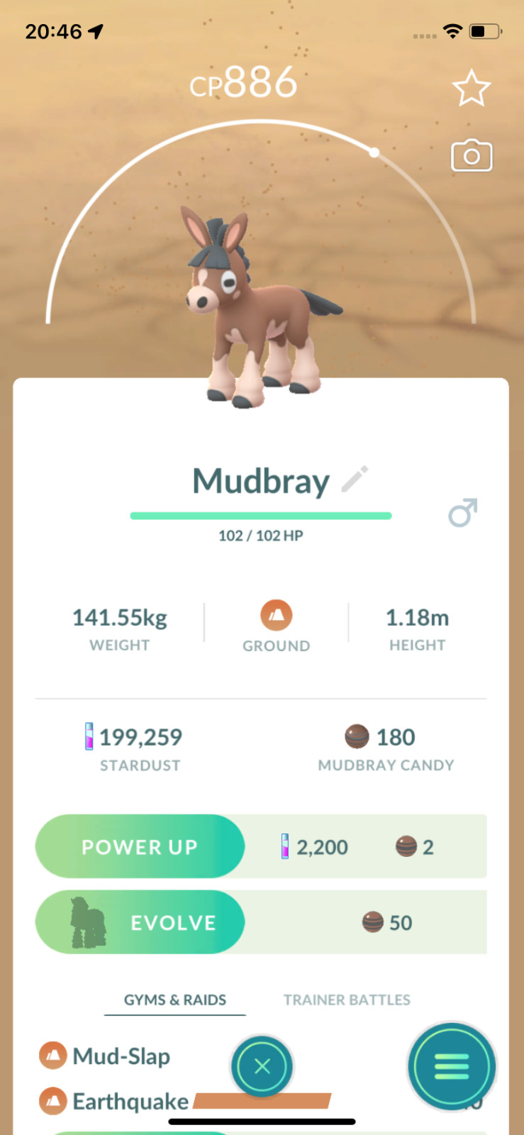 #749 Mudbray  Same Day Shippment or Next Day Guaranteed