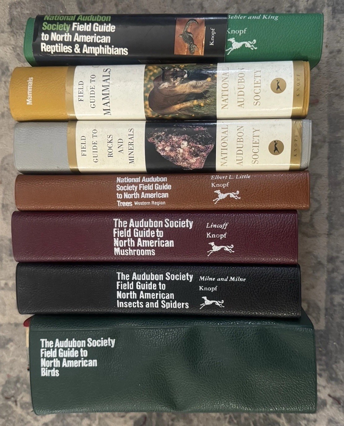 NATIONAL AUDUBON SOCIETY Field Guide Book Lot Birds Spiders Mushrooms Trees Rock NATIONAL AUDUBON SOCIETY Field Guide Book Lot Birds Spiders Mushrooms Trees Rock