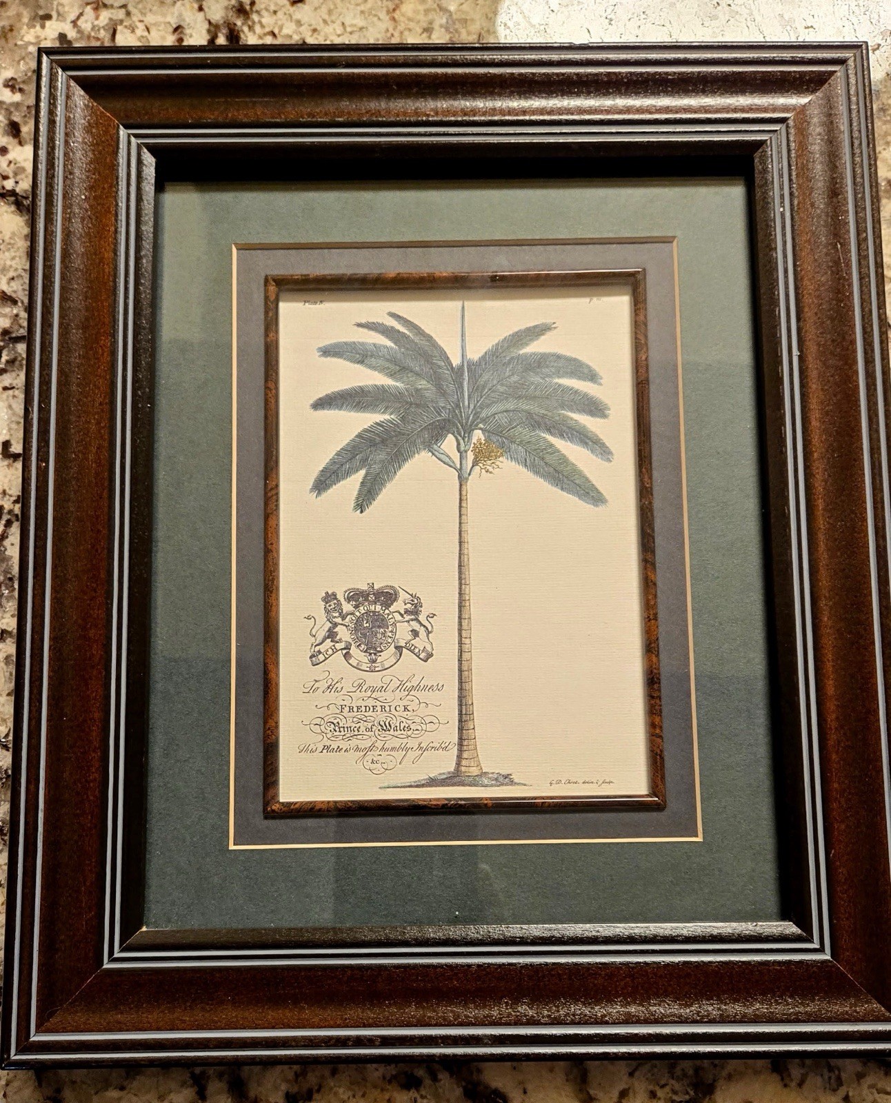 Dionysius Palm Print Dionysius Ehret Art Print (Frederick Prince Of Wales) Rare.