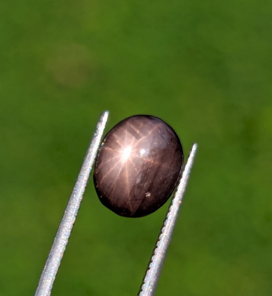 Natural Black Star Sapphire 2.10ct | Rare 12-Ray Star | Unheated Ceylon Gem