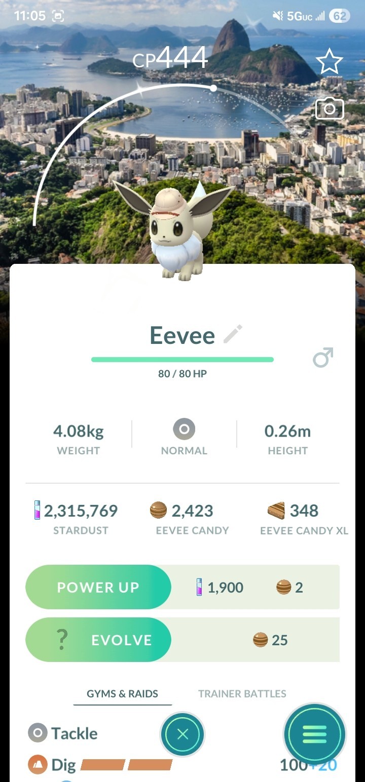 Pokémon Go Shiny Eevee Safari Explorer Hat Rio de Janeiro Background Trade Pokémon Go Shiny Eevee Safari Explorer Hat Rio de Janeiro Background Trade
