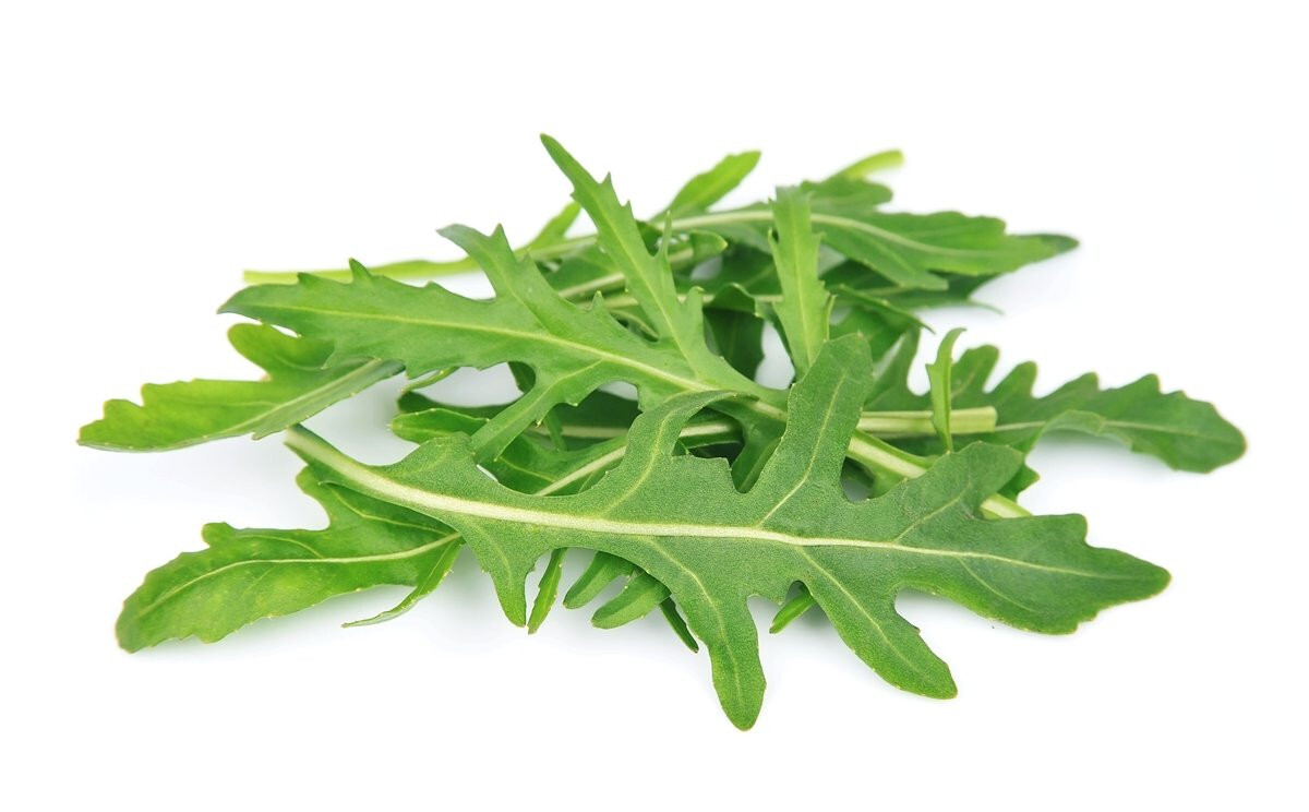 500 ROCKET ARUGULA SEEDS ~ heirloomseedguy ~ 2026 ~ NON-GMO