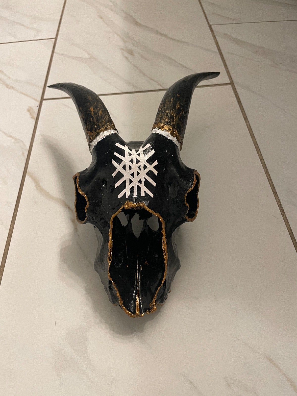 Goat Skull hand painted with rune design Goat Skull hand painted with rune design