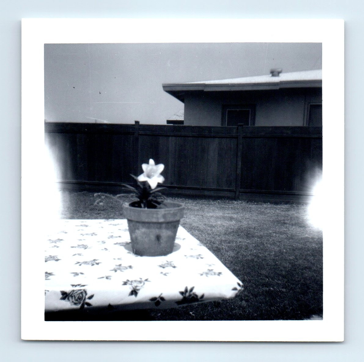 Old Vintage Square Photo FLOWER POT IN YARD GHOST LIGHT SNAPSHOT PHOTOGRAPH