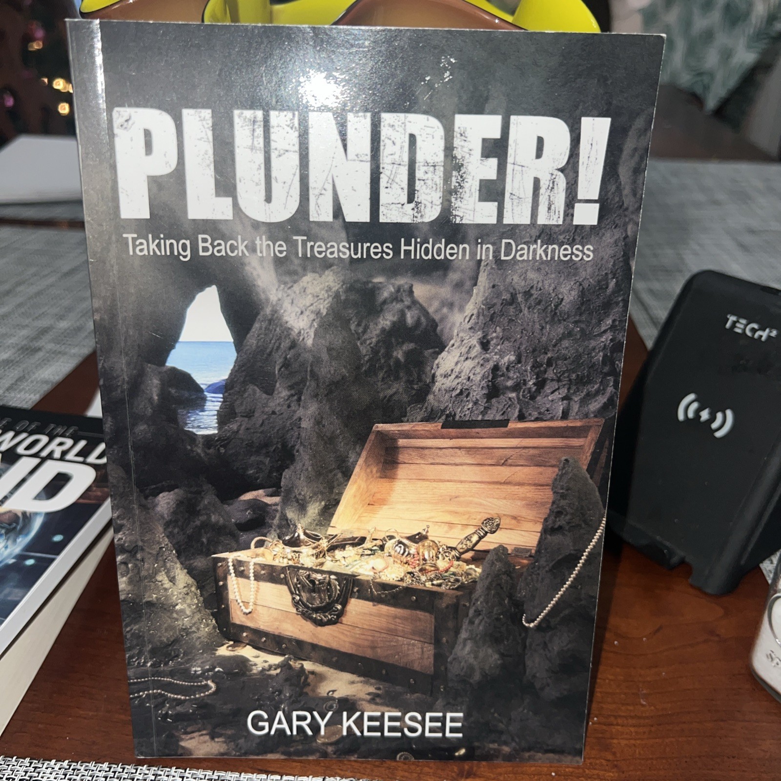 PLUNDER Taking Back the Treasures Hidden in Darkness by Gary Keesee (2025,... PLUNDER Taking Back the Treasures Hidden in Darkness by Gary Keesee (2025,...