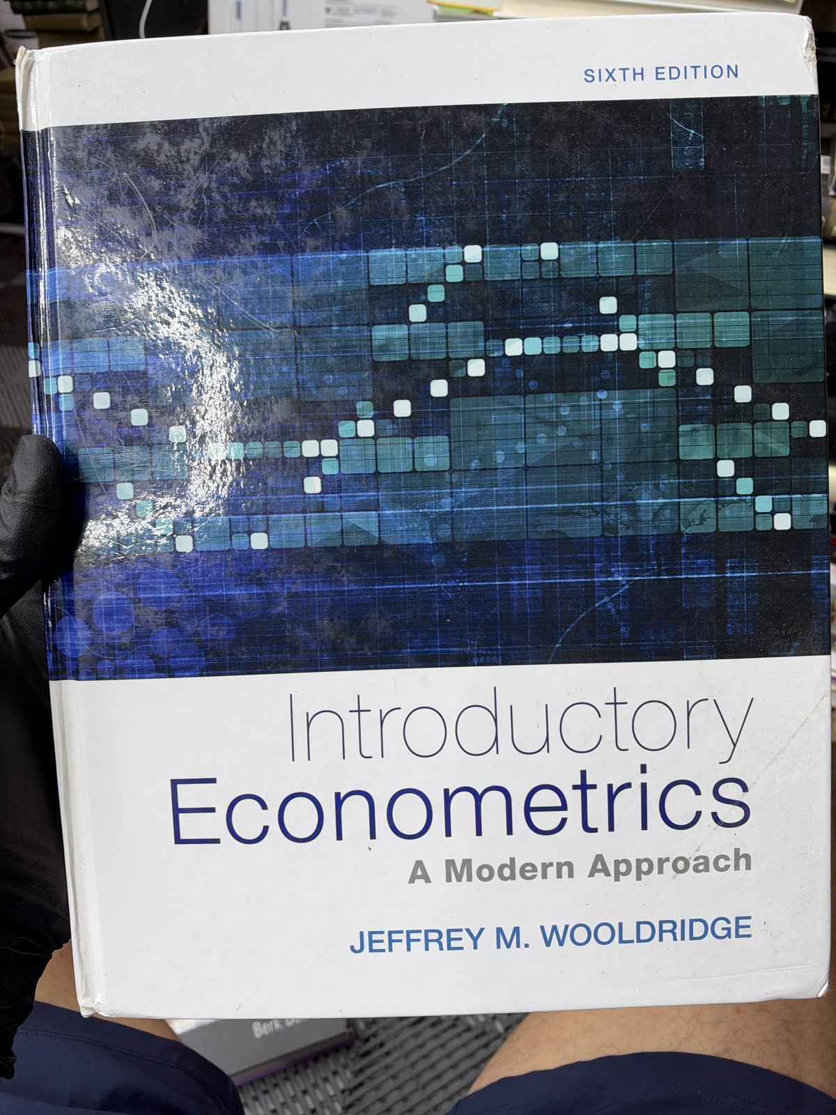 Introductory Econometrics A Modern Approach Sixth Edition Wooldridge Introductory Econometrics A Modern Approach Sixth Edition Wooldridge