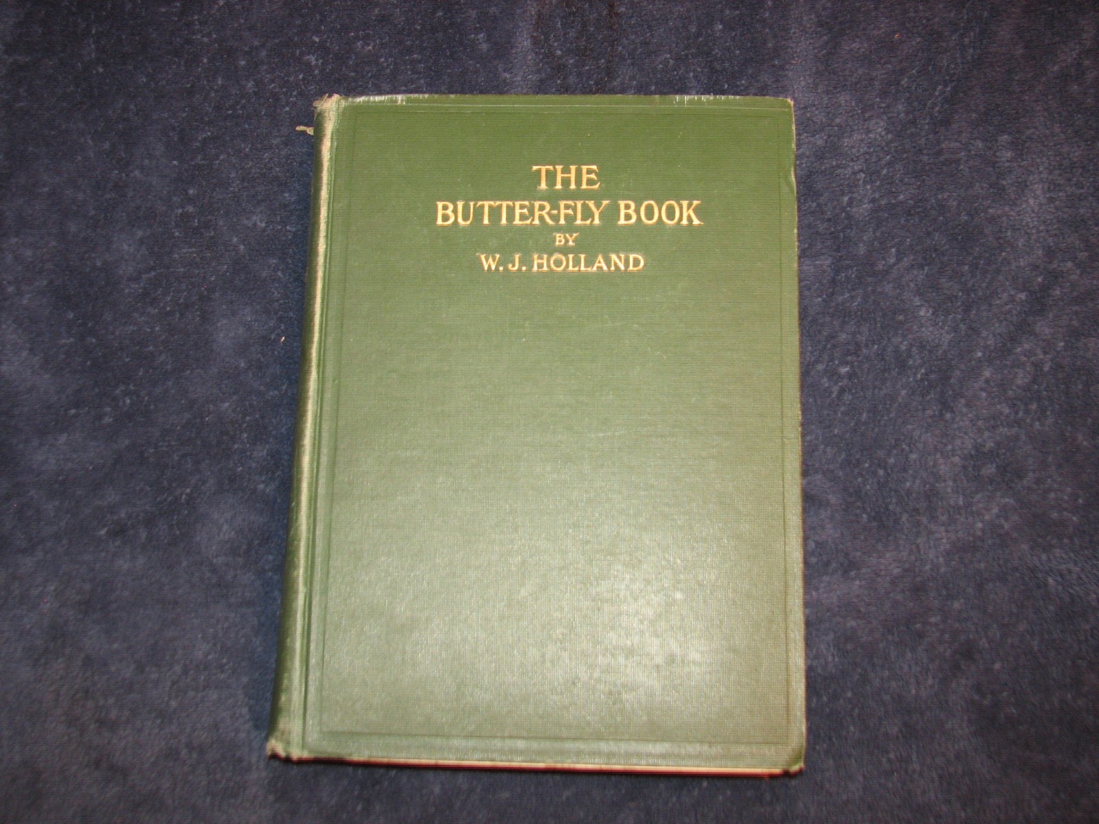 1898 The Butterfly Book, Holland, 1st edition 1898 The Butterfly Book, Holland, 1st edition