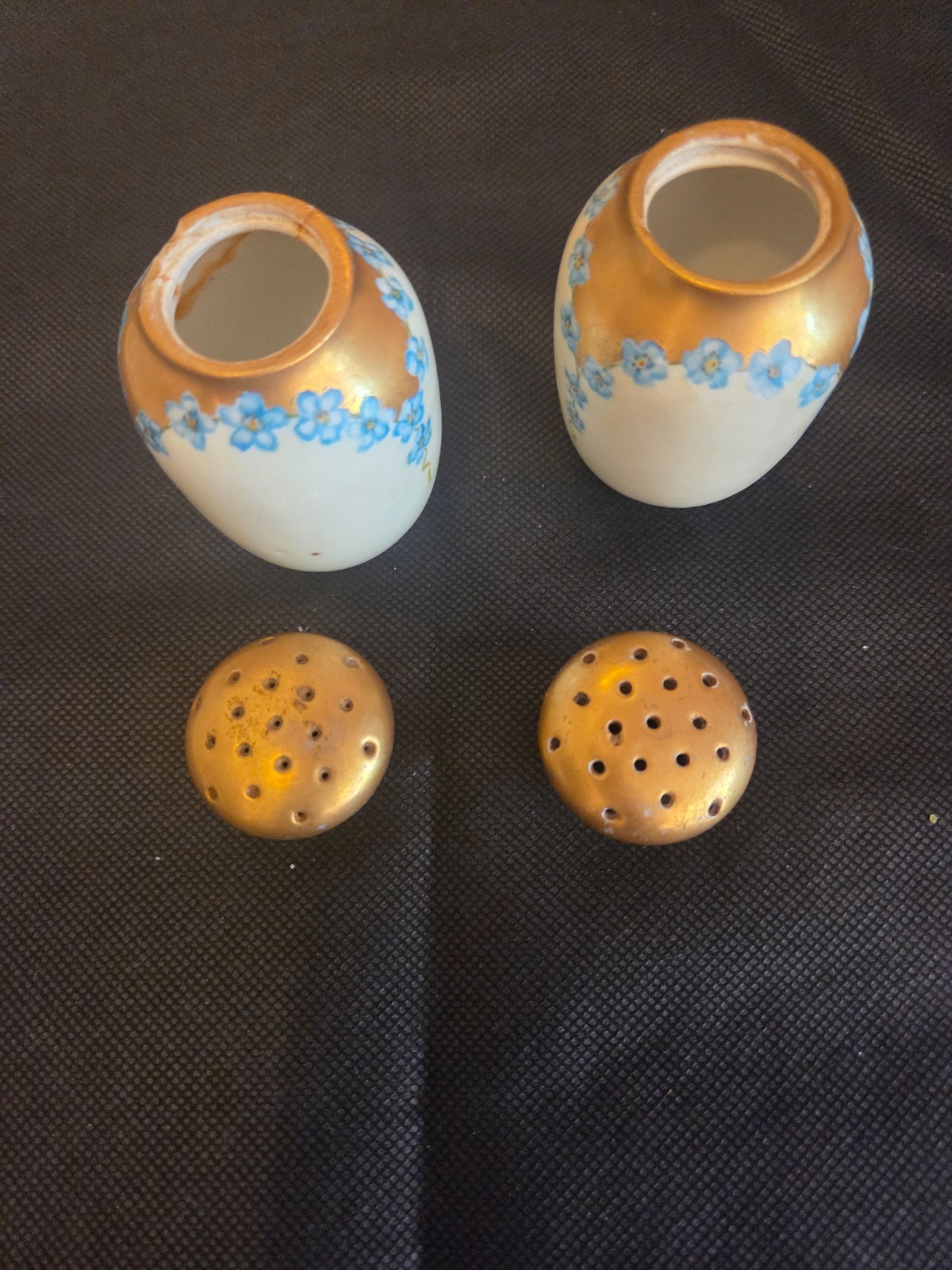 Antique Hand Painted Forget-me-not S & P\' shakers - 1909 Antique Hand Painted Forget-me-not S & P\' shakers - 1909
