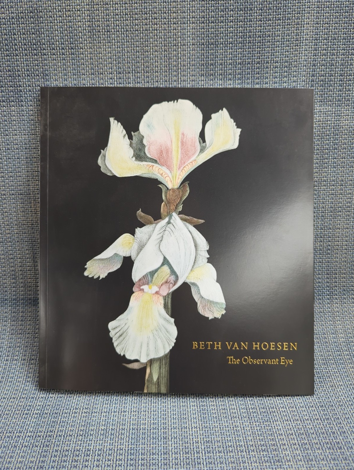 Beth Van Hoesen: The Observant Eye by Beth Van Hoesen 2009 First Edition Beth Van Hoesen: The Observant Eye by Beth Van Hoesen 2009 First Edition
