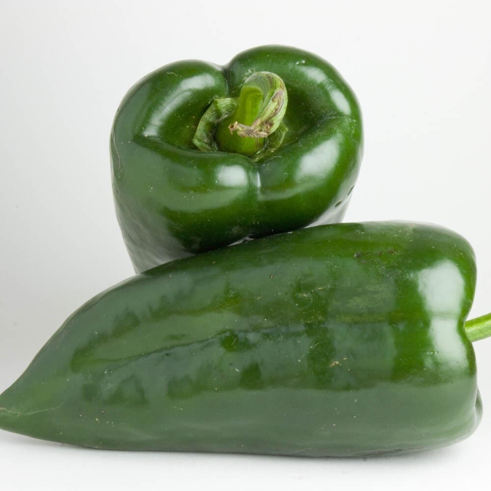 Poblano Pepper Seeds | Heirloom / Non-GMO | | Seed Store | 1011 Poblano Pepper Seeds | Heirloom / Non-GMO | | Seed Store | 1011
