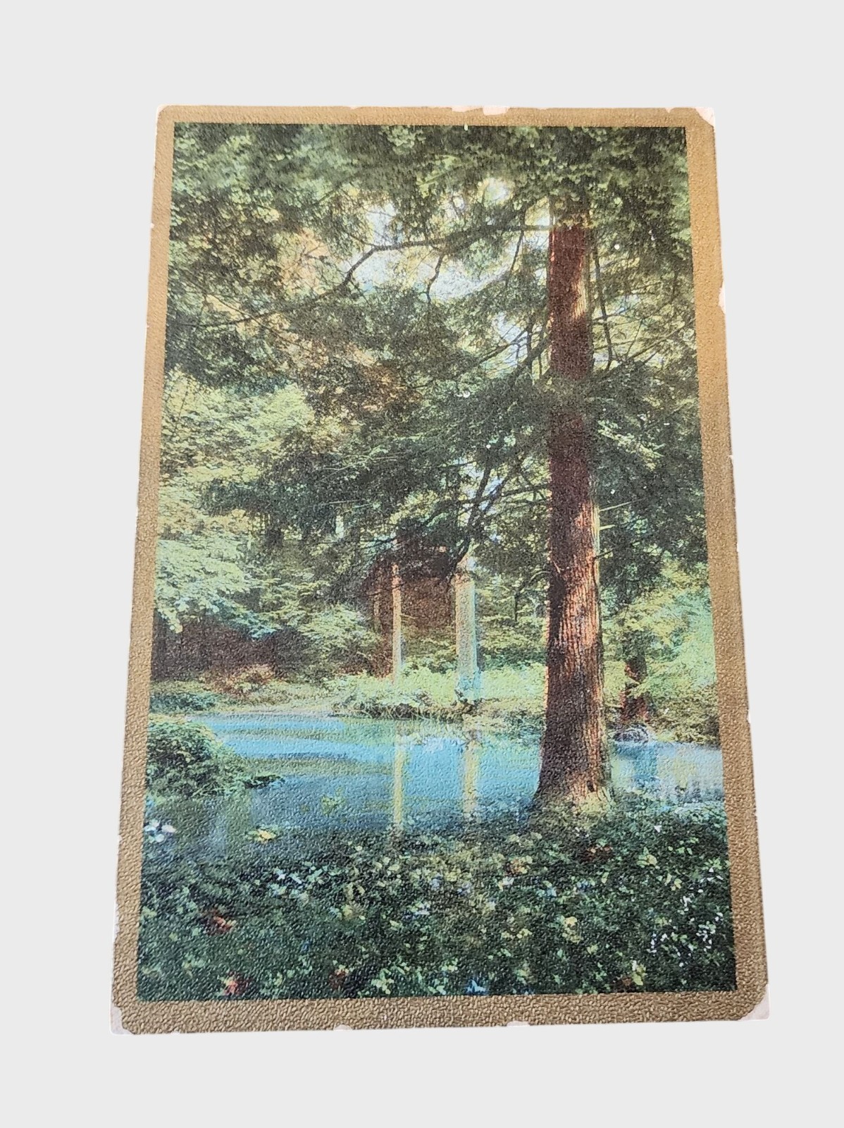Antique 1910 Mailed Postcard With Forest Scene & Handwritten Note