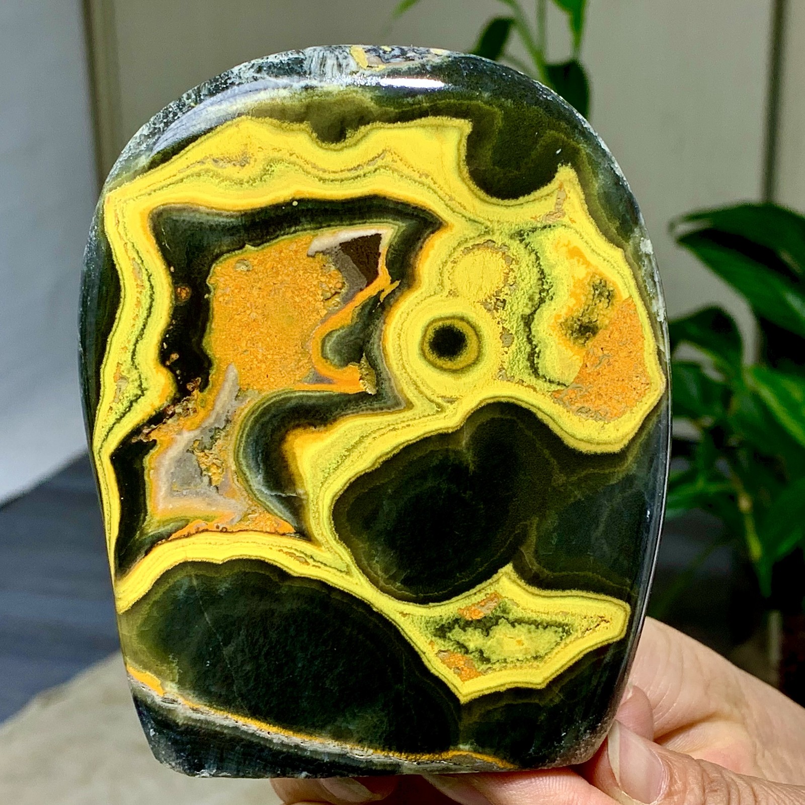 472G Natural Bumblebee Ocean Jasper Quartz Crystal Specimen Healing