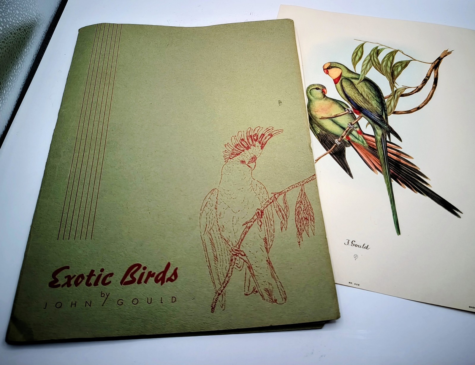 Vintage J. Gould Exotic Bird Lithograph Prints w Folder 1940s NYC Set of 19 Rare