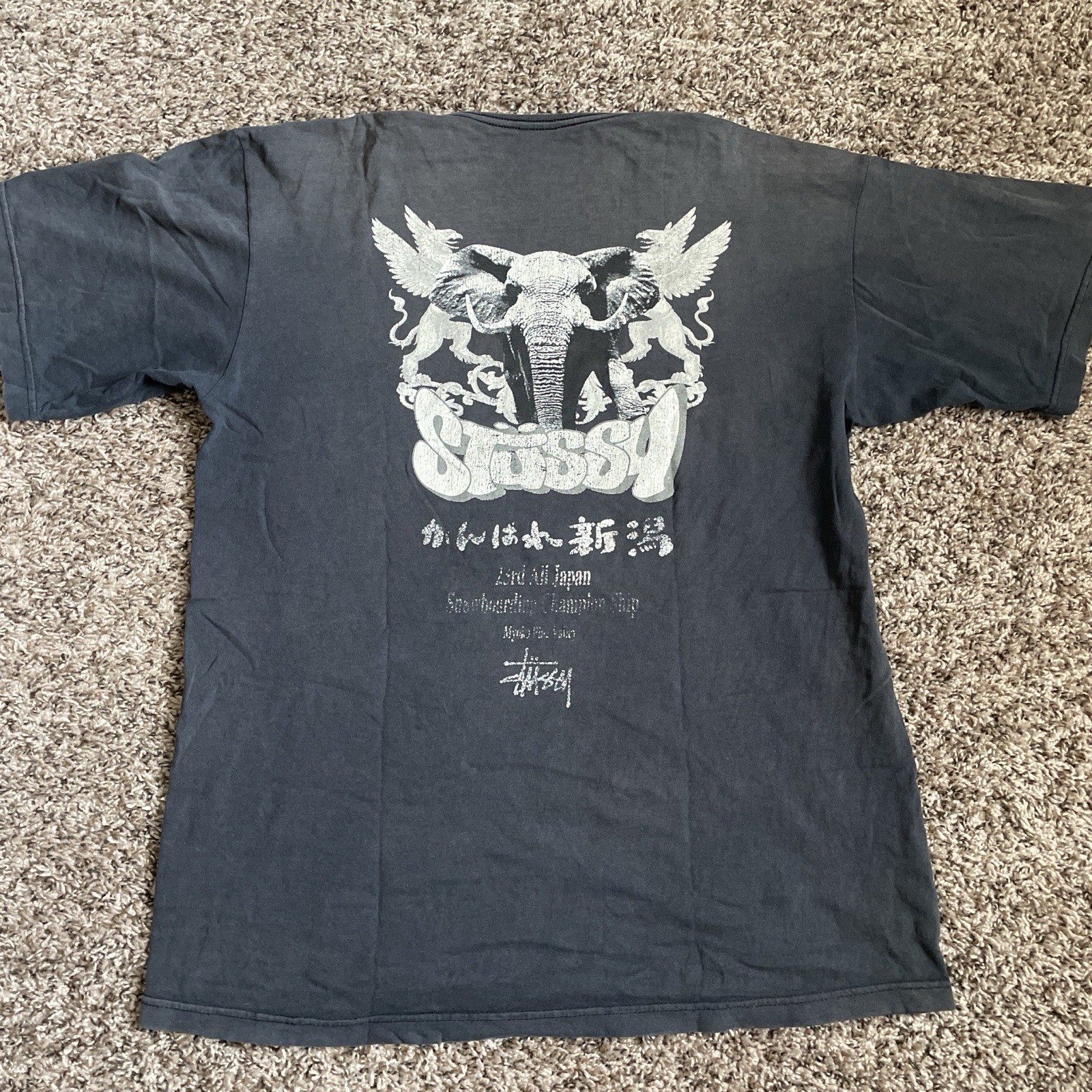 Vintage y2k SUPER RARE 2005 Japan snowboarding Championship Stussy tshirt Vintage y2k SUPER RARE 2005 Japan snowboarding Championship Stussy tshirt