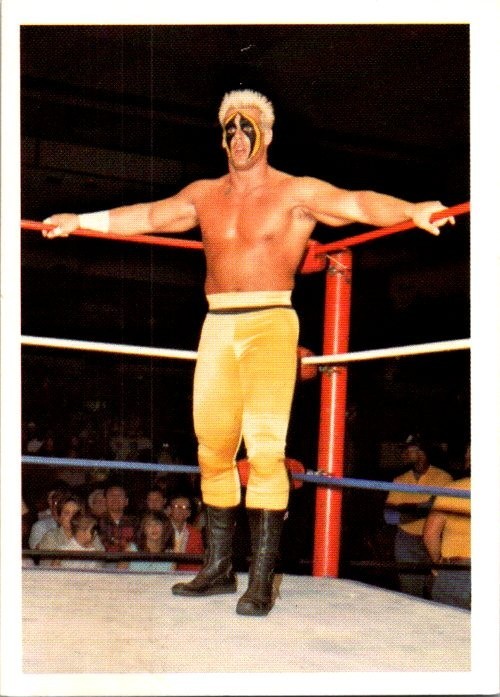 1988 Wonderama NWA - Sting #194 (RC) 1988 Wonderama NWA - Sting #194 (RC)