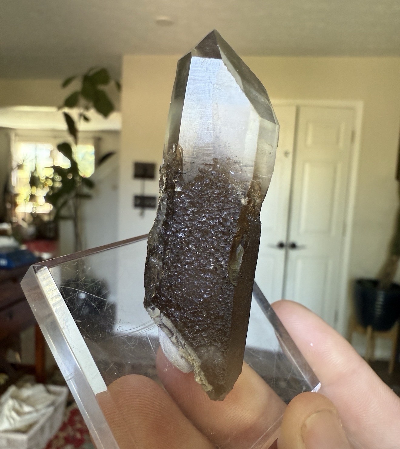 A++ Smoky Quartz Scepter Hallelujah Junction Nevada A++ Smoky Quartz Scepter Hallelujah Junction Nevada