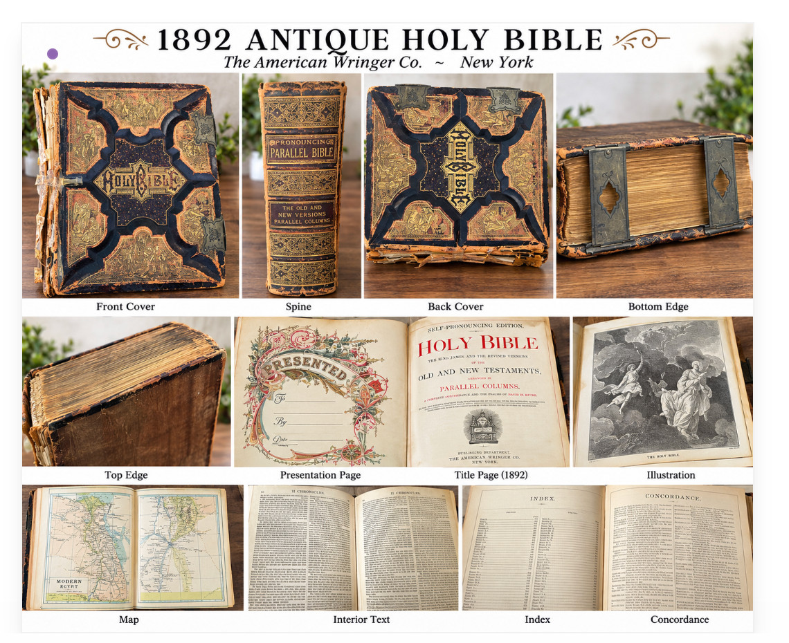 1892 American Wringer Pronouncing Parallel Holy Bible KJV Revised Antique Illust