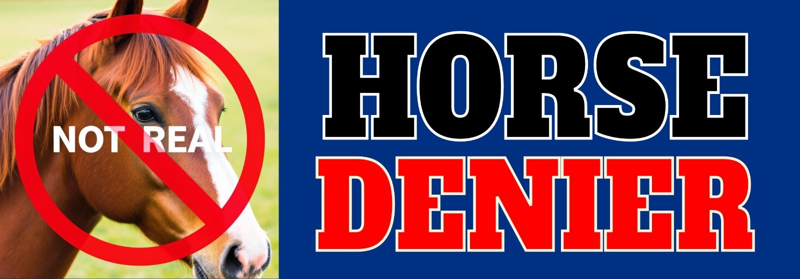 Horse Denier Bumper Sticker Magnet Decal Satirical Funny Car Accessory