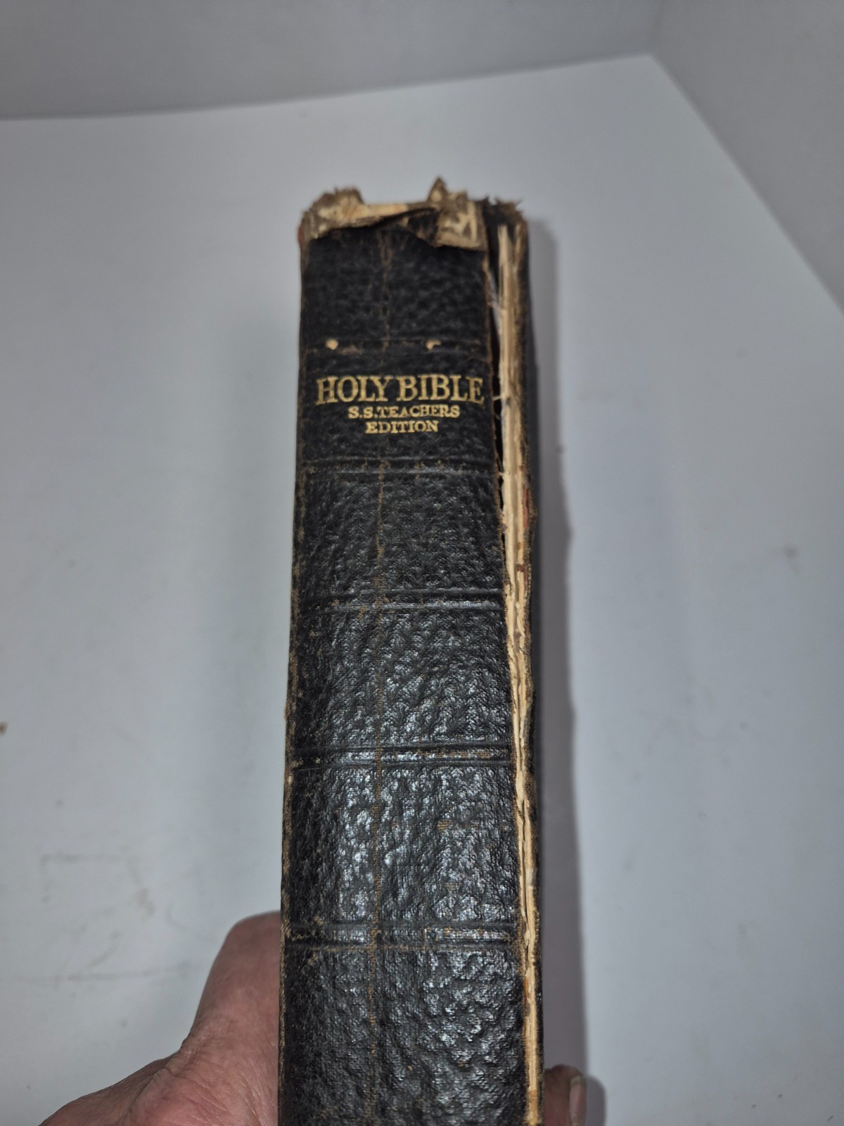 Saint James Bible Teachers Edition COPYWRIGHT 1896