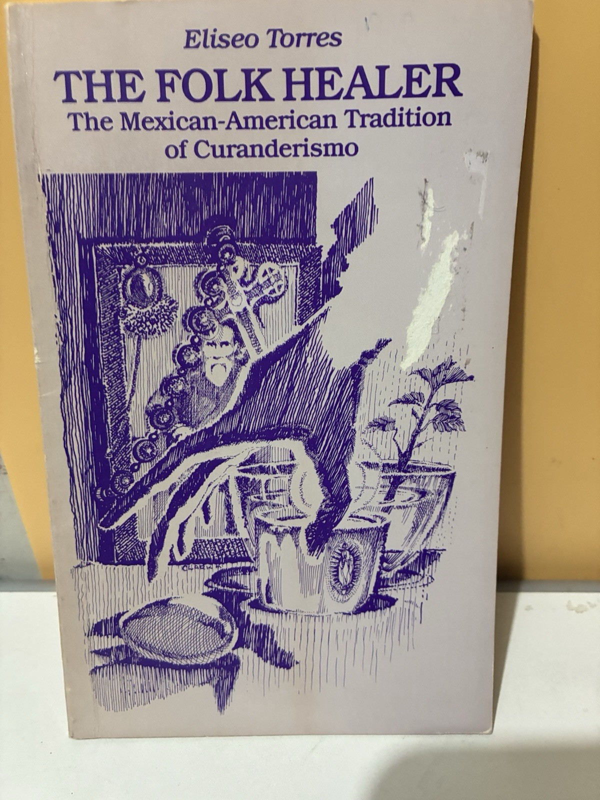 Folk Healer: The Mexican-American Tradition of Curanderismo By Eliseo Torres PB