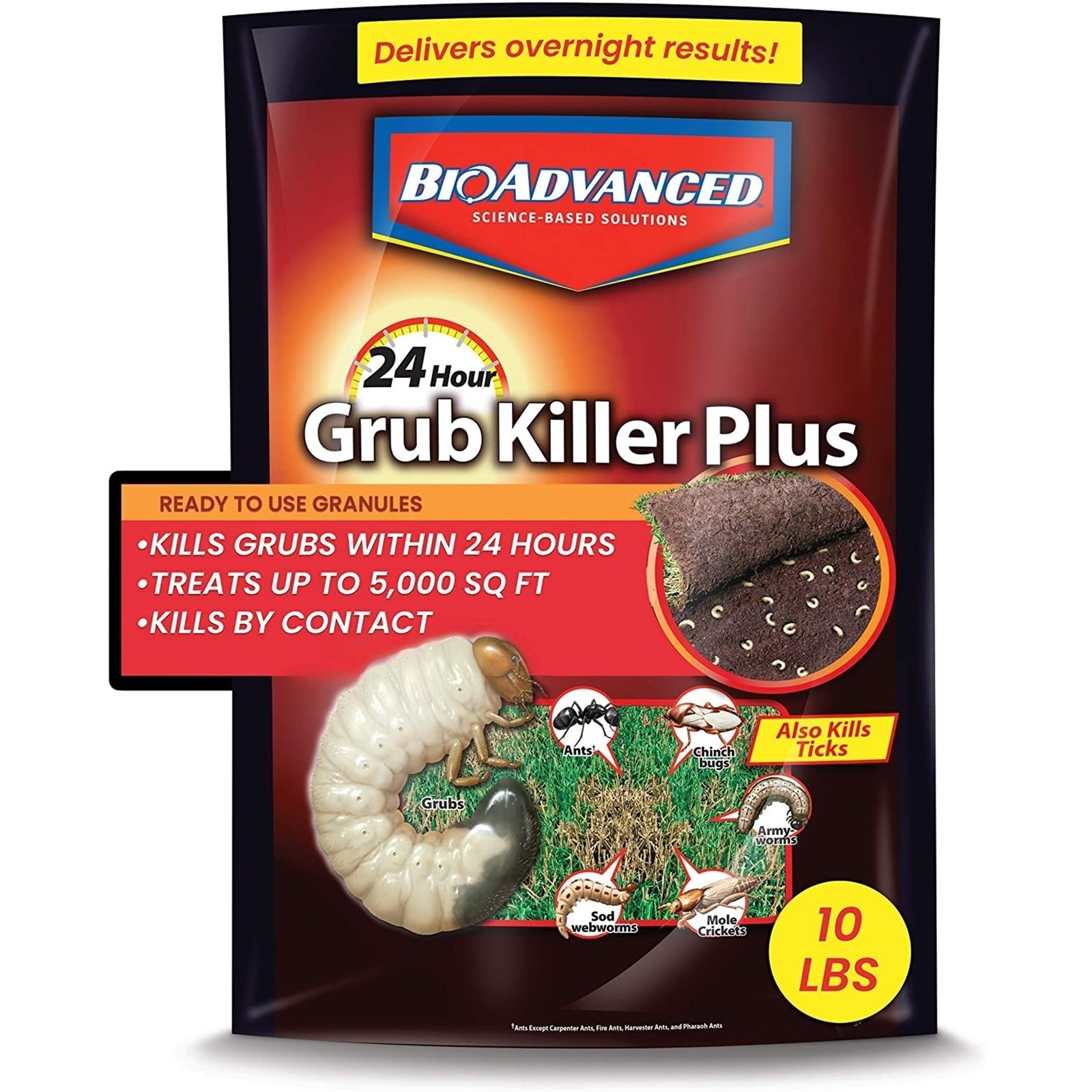 Bioadvanced 24-Hour Grub Killer Plus, Ready to Use Granules, 10lb Bioadvanced 24-Hour Grub Killer Plus, Ready to Use Granules, 10lb