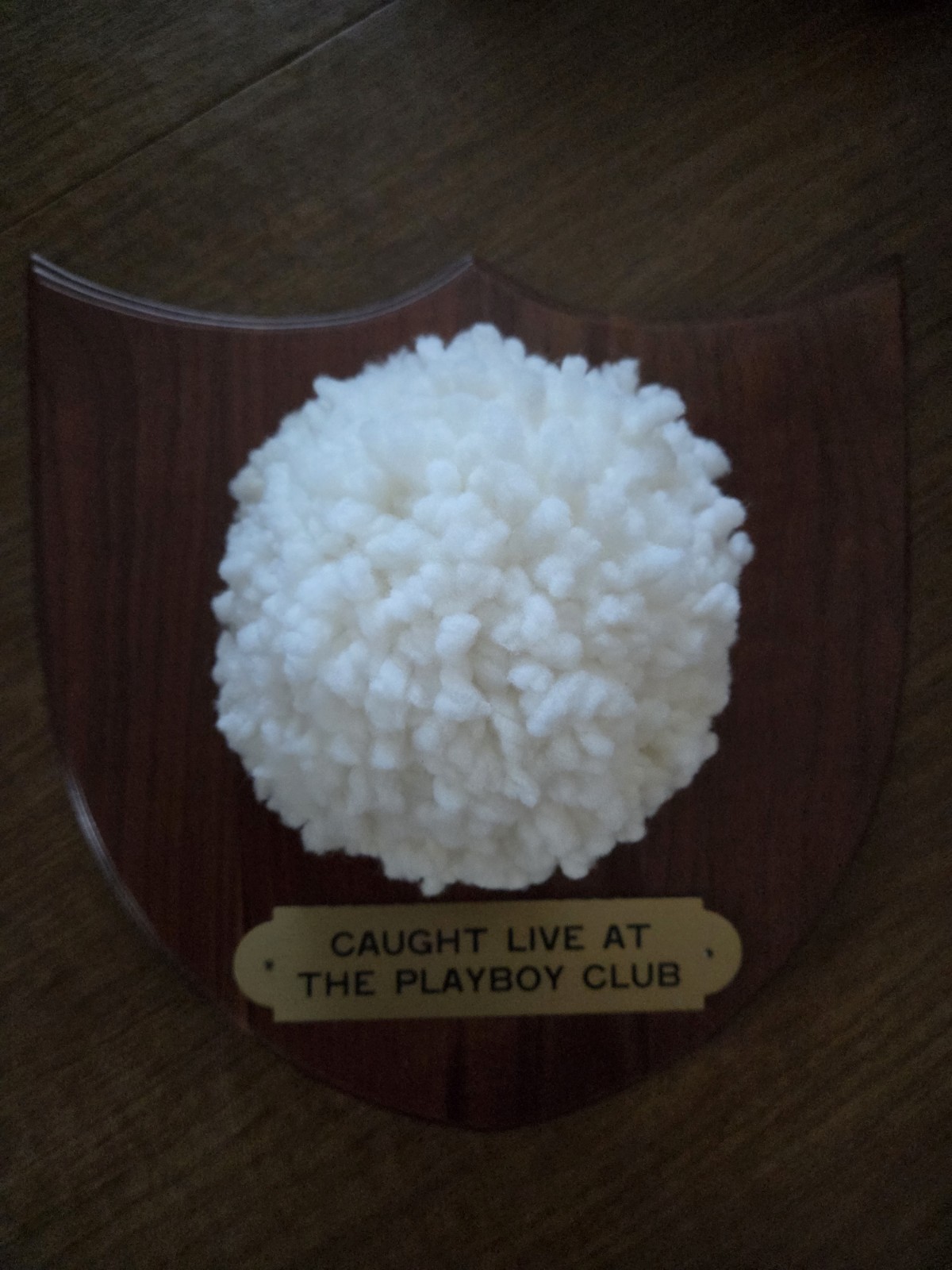 CAUGHT LIVE AT THE PLAYBOY CLUB Bunny Tail Plaque Early 1970's Vintage