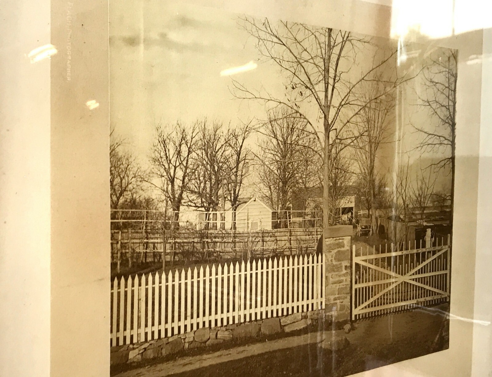 Antique Albumen Photograph Picket Fence and Backyard Antique Albumen Photograph Picket Fence and Backyard