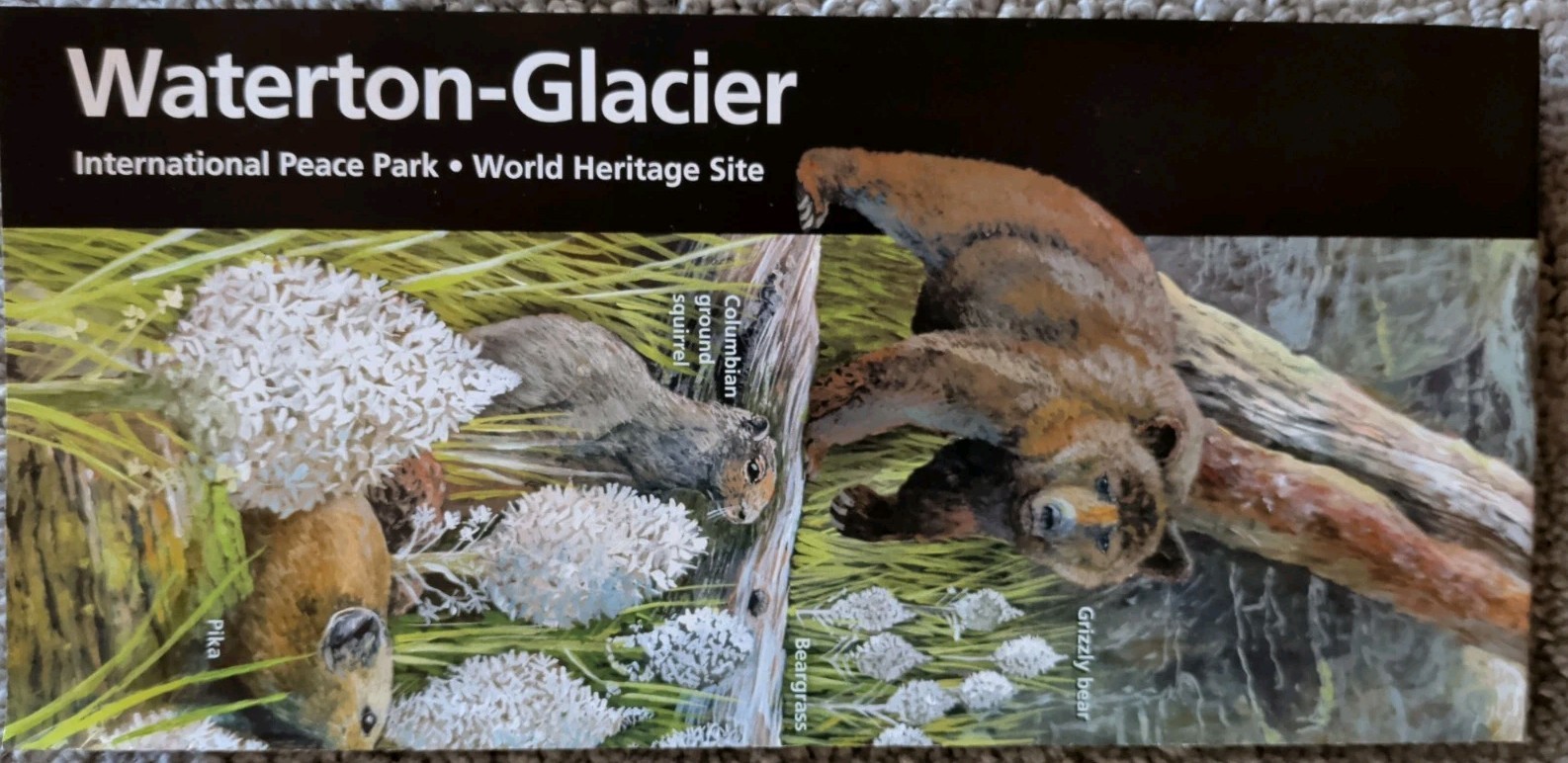 New 2026/2027 Glacier National Park Official National Park Service Map/Brochure New 2026/2027 Glacier National Park Official National Park Service Map/Brochure