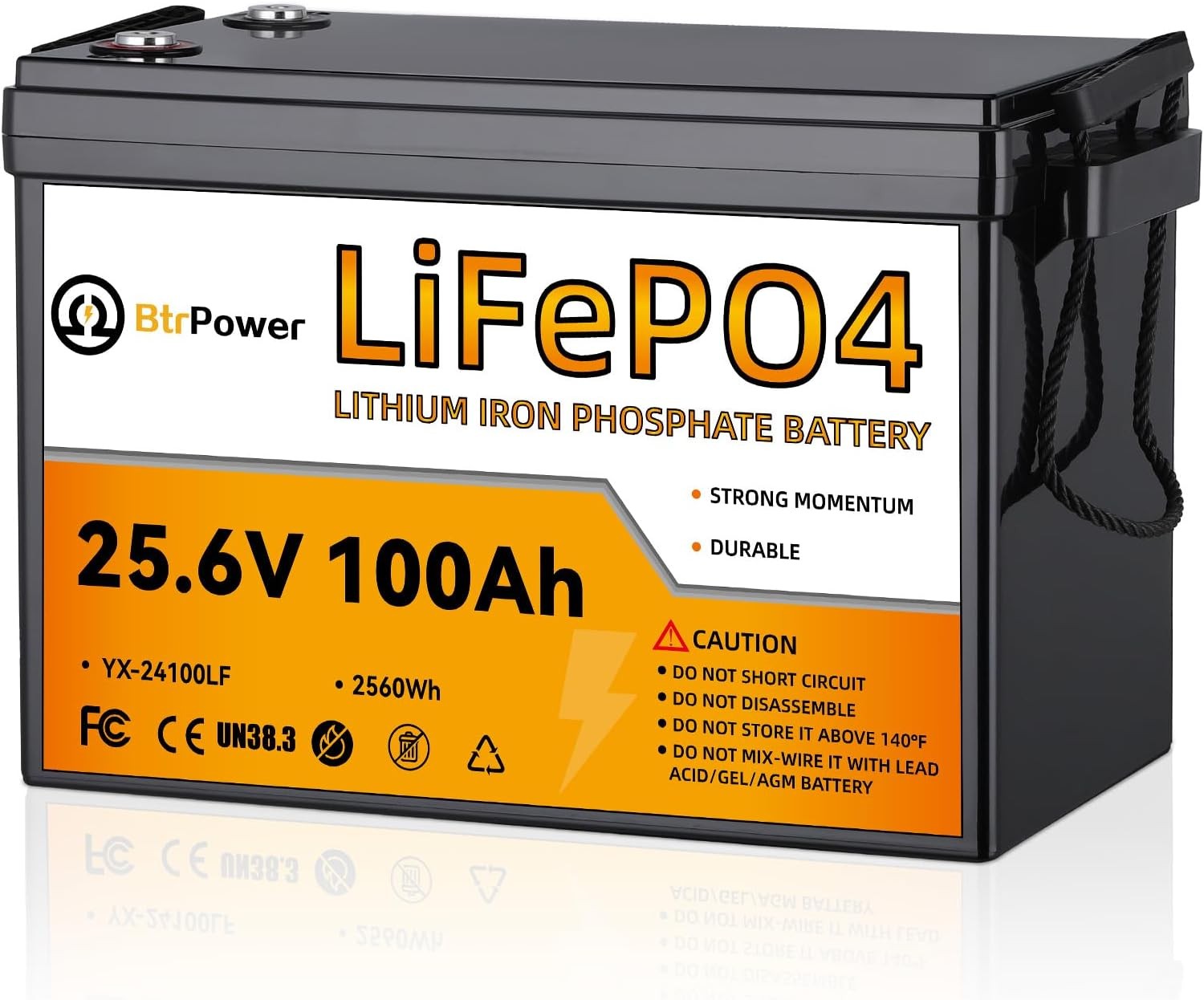 24V 100Ah LiFePO4 BtrPower Lithium Battery for RV Marine Solar System 100A BMS