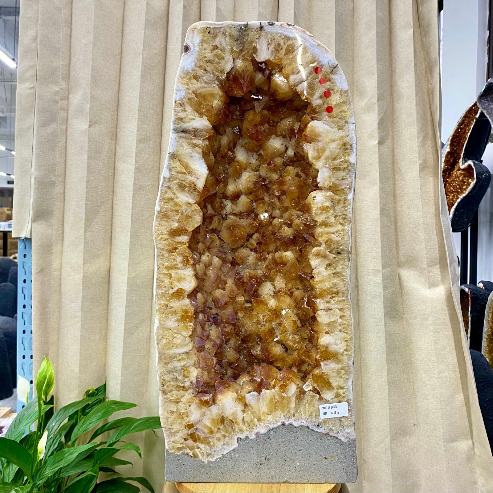 80.27LB Natural Citrine Geode Cave with Agate Rim, Sparkling Yellow Crystal Home