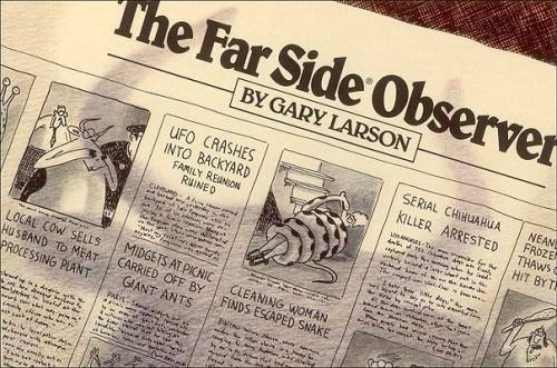 The Far Side Observer - Paperback By Larson, Gary - GOOD The Far Side Observer - Paperback By Larson, Gary - GOOD