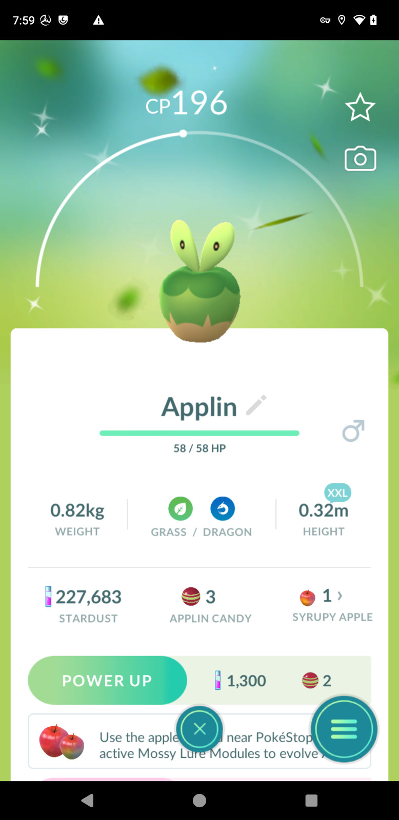 ✨ Pokémon P.T.C Go - Shiny Applin | Normal | XXL - XXS