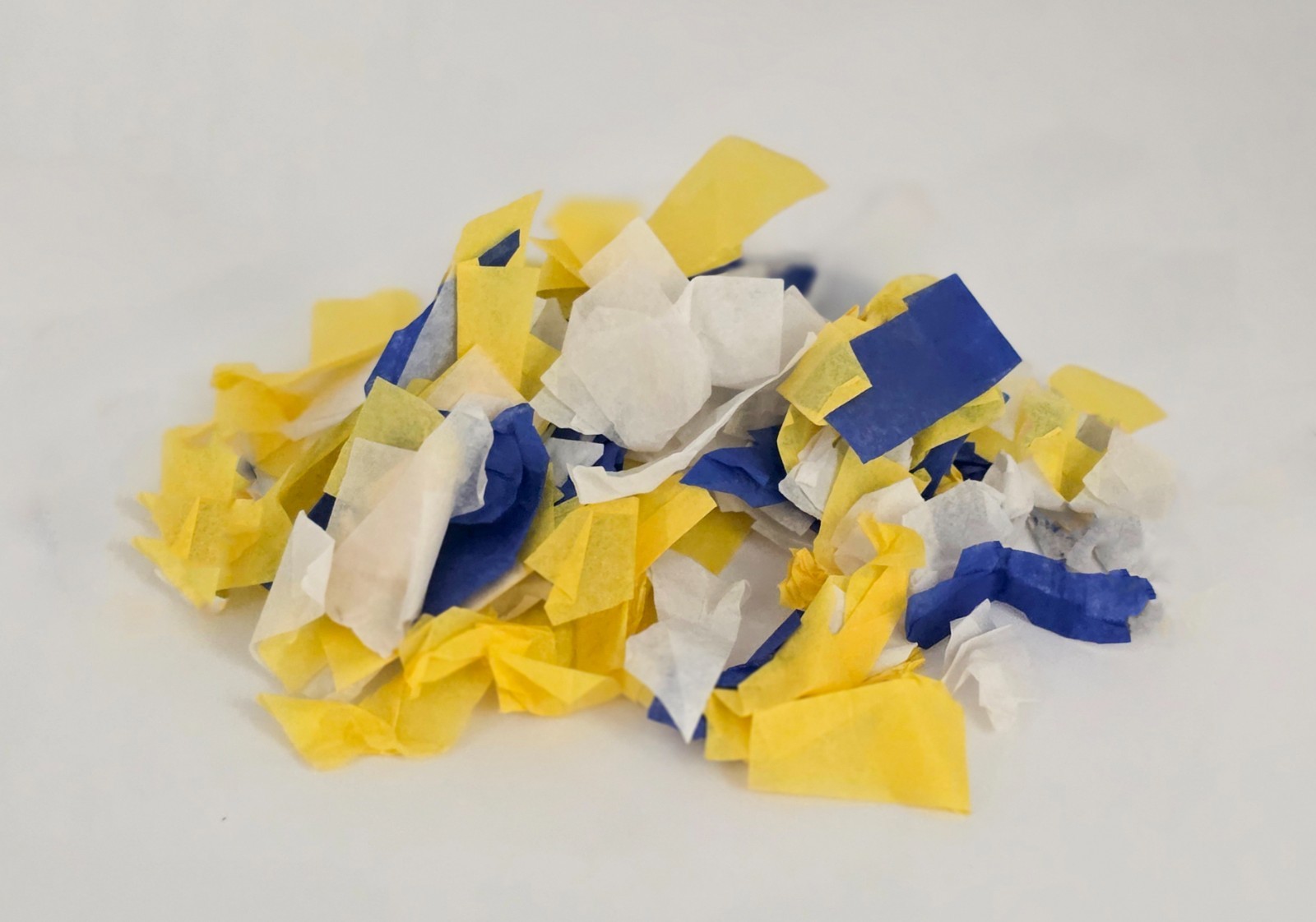 2024 - CONFETTI - Brad Keselowski #6 - Goodyear 400 - Victory Lane 2024 - CONFETTI - Brad Keselowski #6 - Goodyear 400 - Victory Lane