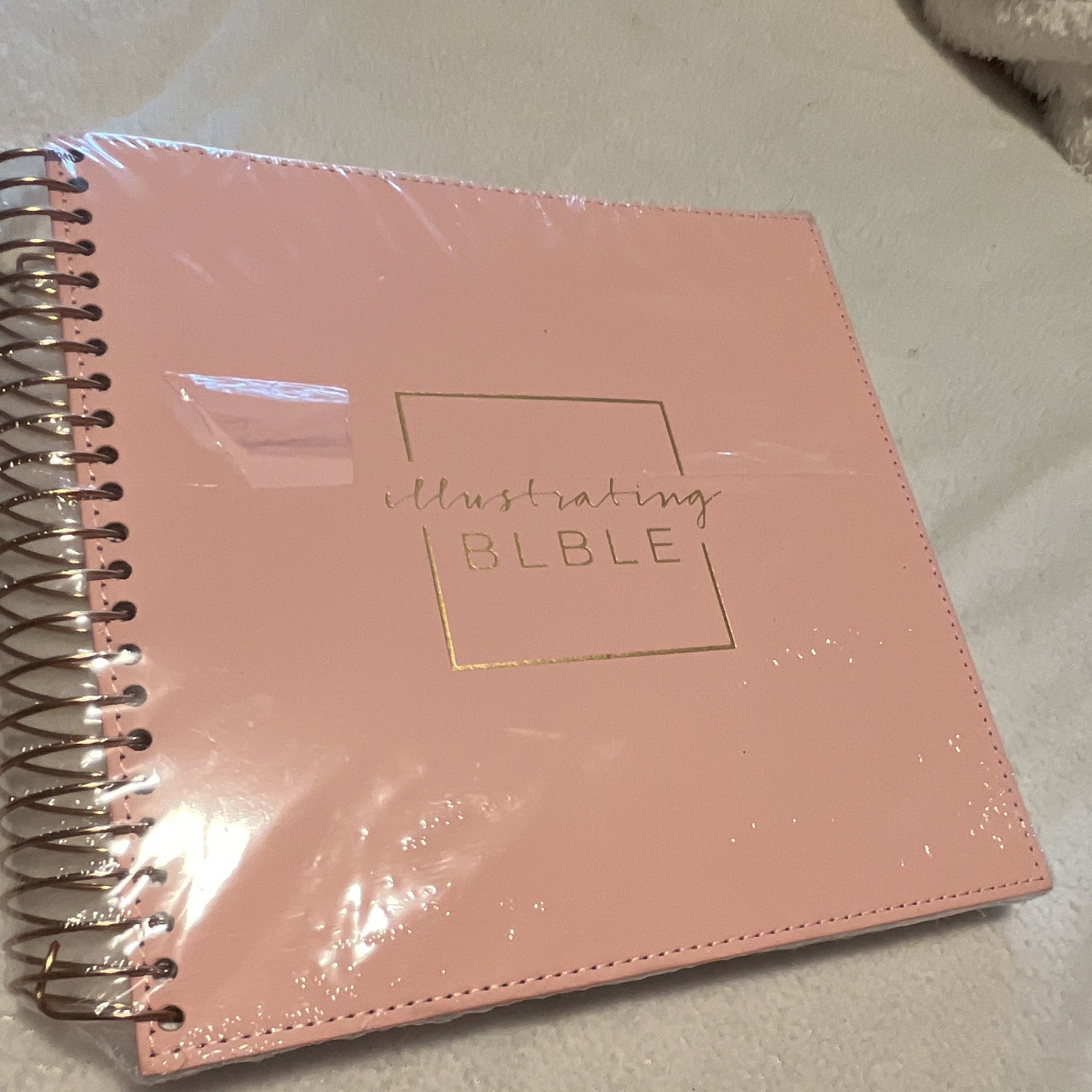 NIV Illustrating Bible DaySpring Spiral Bound English NIV Illustrating Bible DaySpring Spiral Bound English