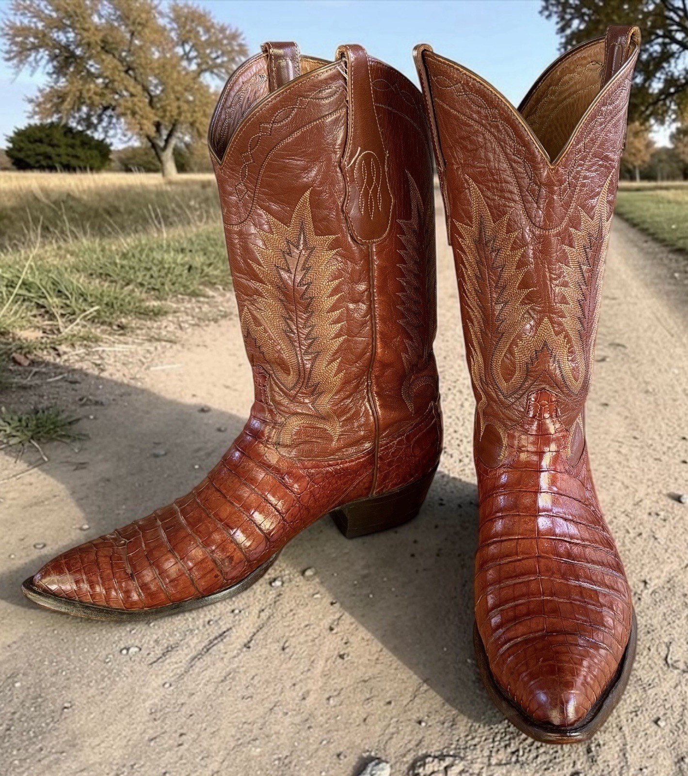 Vtg Tony Lama 1996 Premium Caiman Belly Cognac Brown Cowboy Boots #6638 Mens 12D Vtg Tony Lama 1996 Premium Caiman Belly Cognac Brown Cowboy Boots #6638 Mens 12D