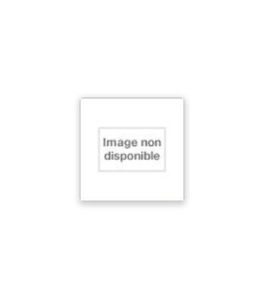 A Culture of Conspiracy: Apocalyptic Visions in Contemporary A... A Culture of Conspiracy: Apocalyptic Visions in Contemporary A...