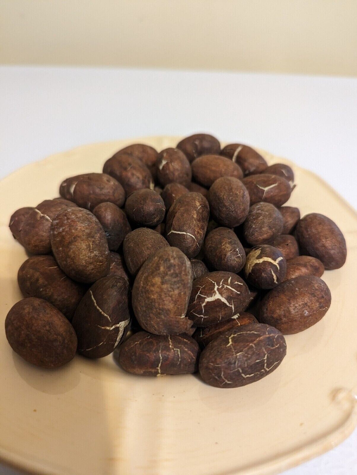 African Bitter Kola fresh from Nigeria, 50 Nuts per package (No Trash) 