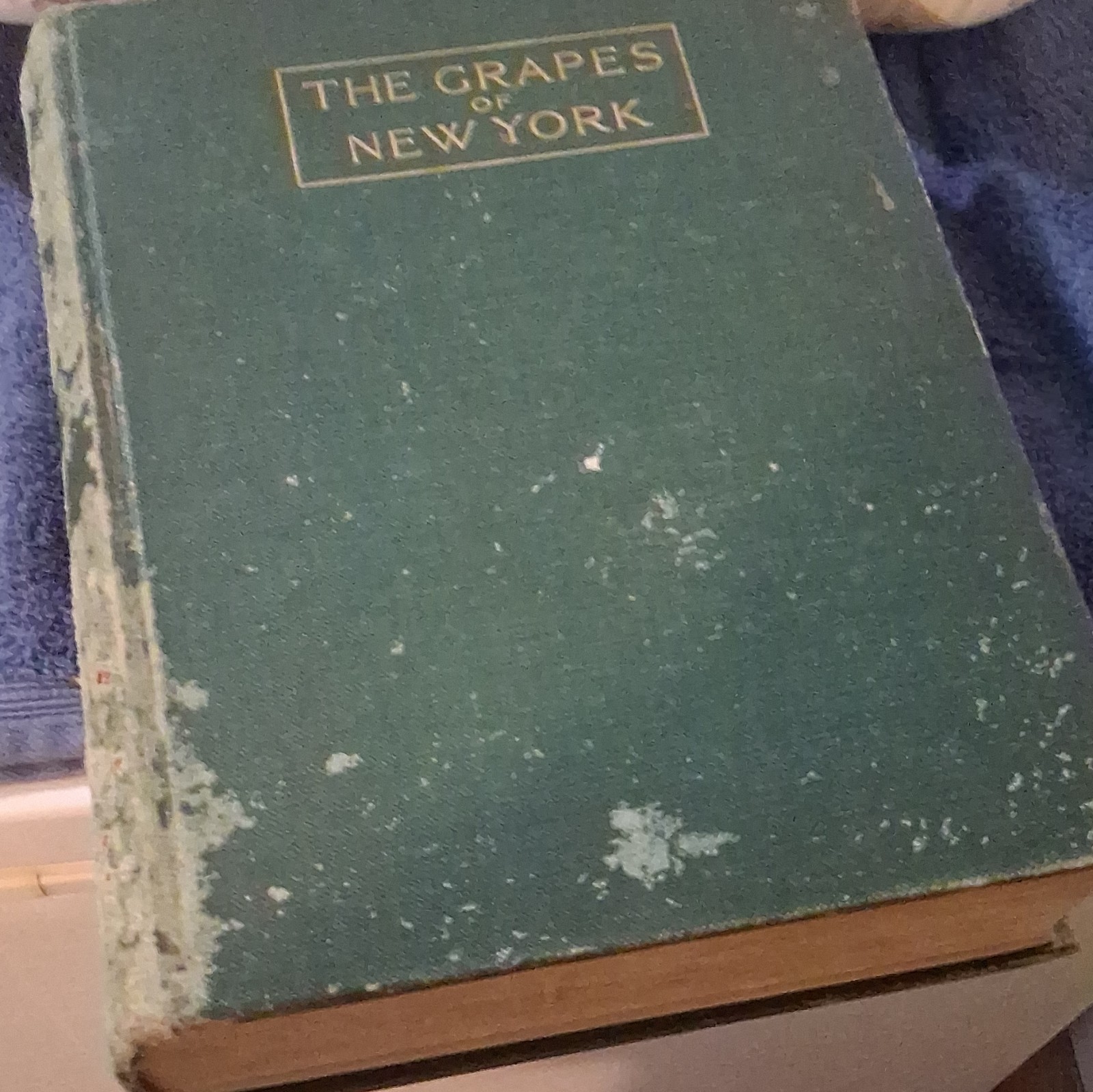 U. P. Hedrick The Grapes of New York Illus HC J.B. Lyon Albany 1908 English