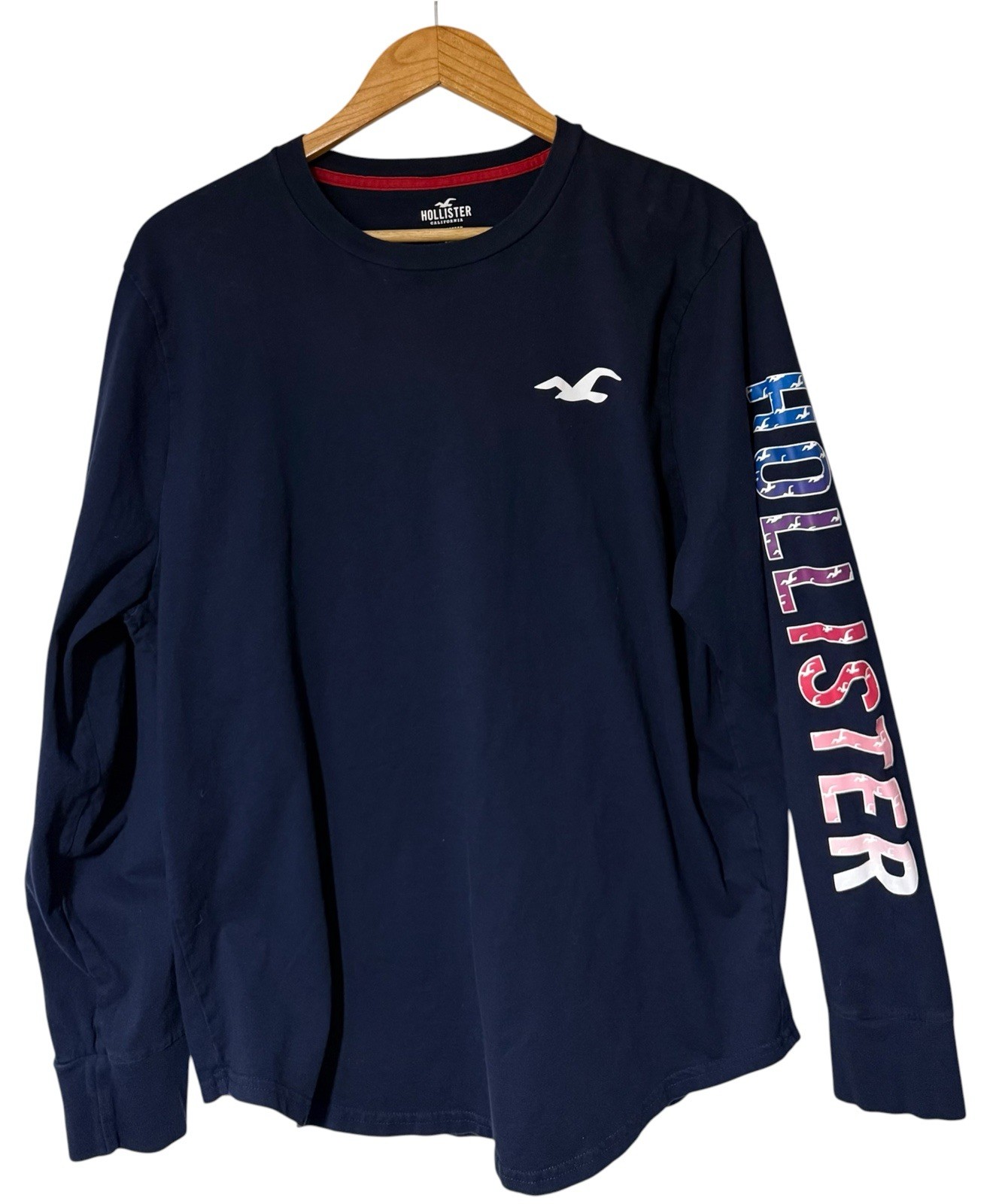 Hollister Co Mens Long Sleeve Graphic T-Shirt XL Navy Blue Back Seagull NWOT