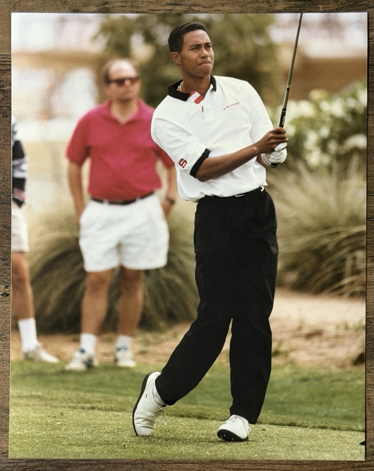 Tiger Woods 1995 Stanford 19yr. Old Pre-Rookie Type 1 Photo By Stephen Elias Tiger Woods 1995 Stanford 19yr. Old Pre-Rookie Type 1 Photo By Stephen Elias